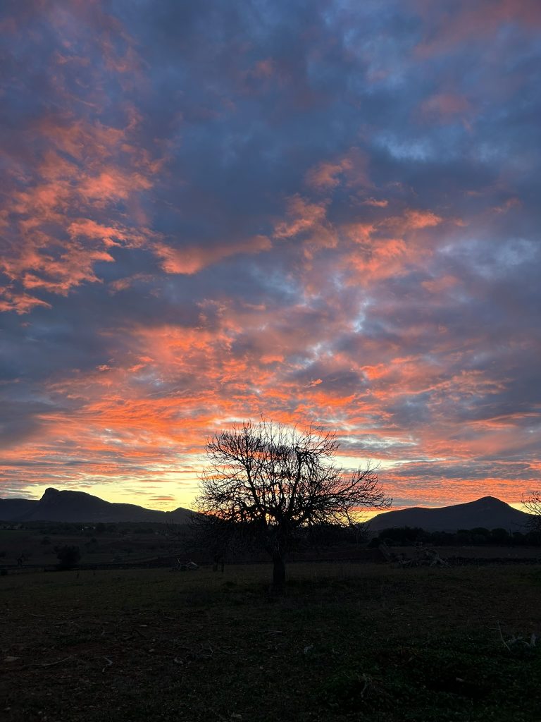 Verheißungsvoller Sonnenaufgang