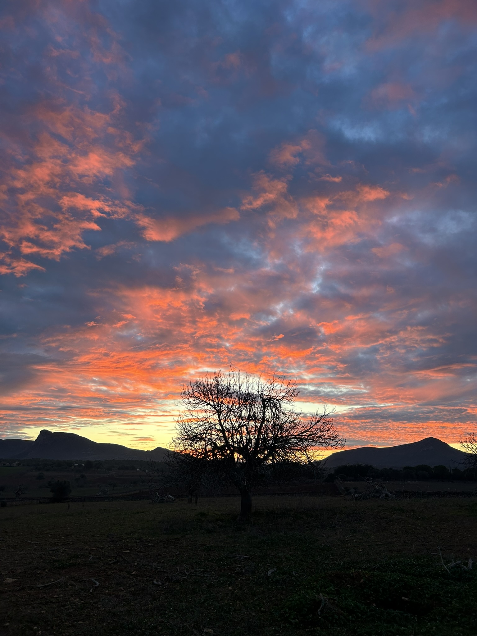 Verheißungsvoller Sonnenaufgang