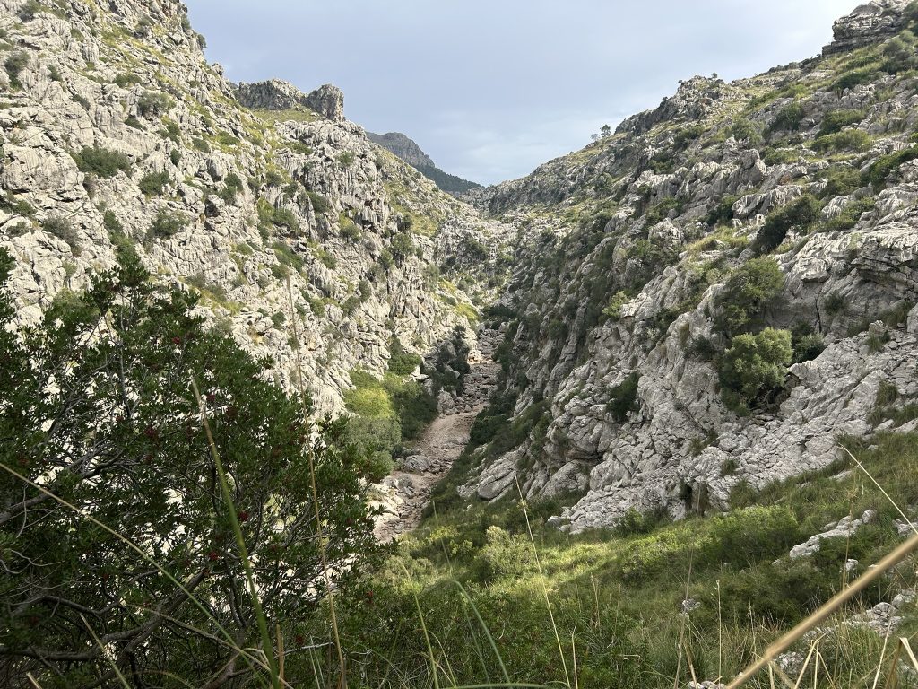 Aussicht auf den Torrent de Lluc