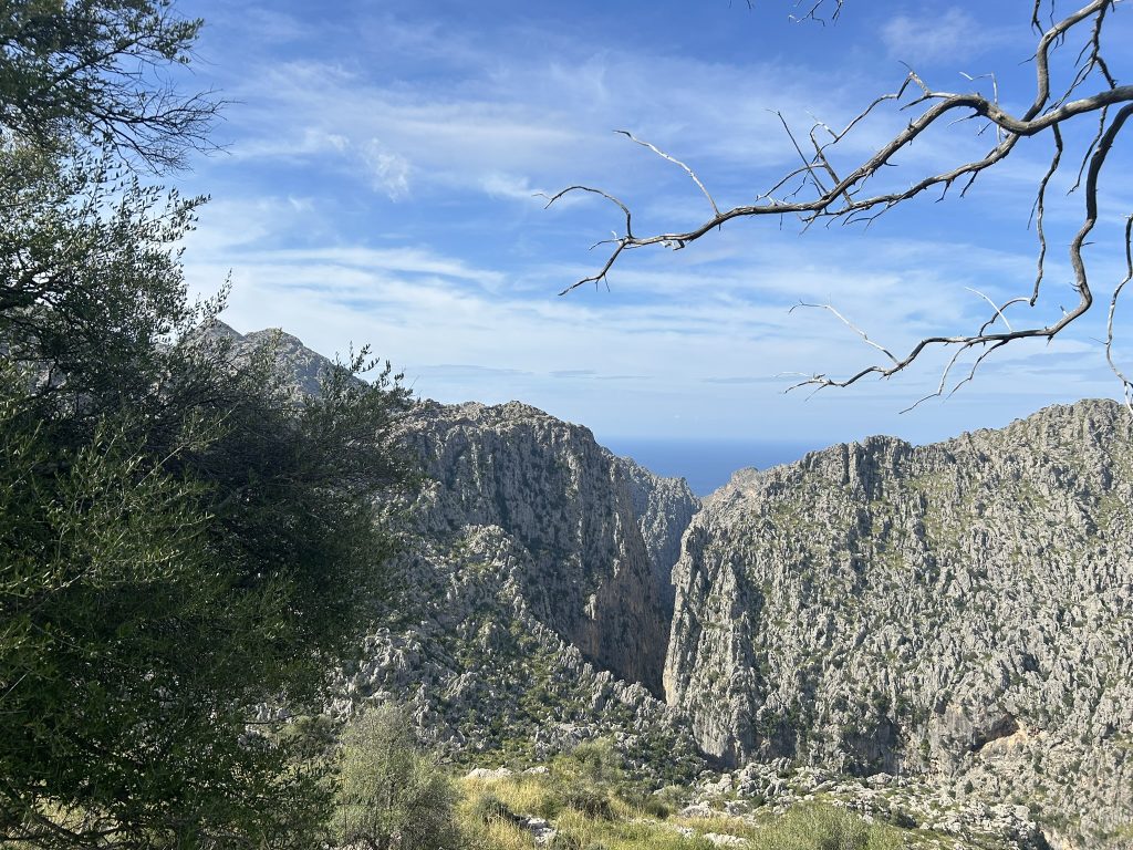 Blick auf den Zusammenfluss von Torrent des Gorg Blau und Torrent de Lluc - der s'Entreforc