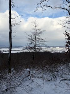 Blauer Himmel am Steinberg